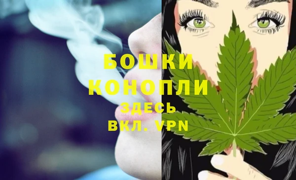 сатива Армянск
