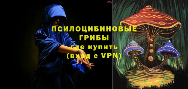 сатива Армянск