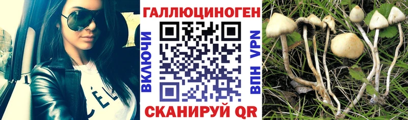 Галлюциногенные грибы GOLDEN TEACHER  Весьегонск 